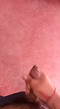 pedritolobito online show from 15, 1, 2025