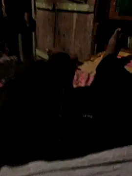 GapingConker online show from 31, 10, 2025