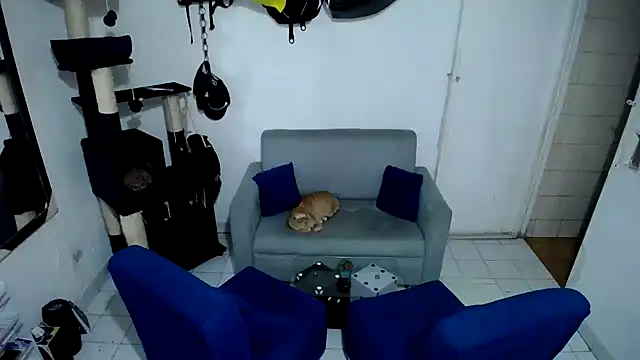 Pussycat 9999 online show from 2, 12, 2025