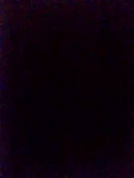 SteadyTientsin online show from 7, 11, 2025