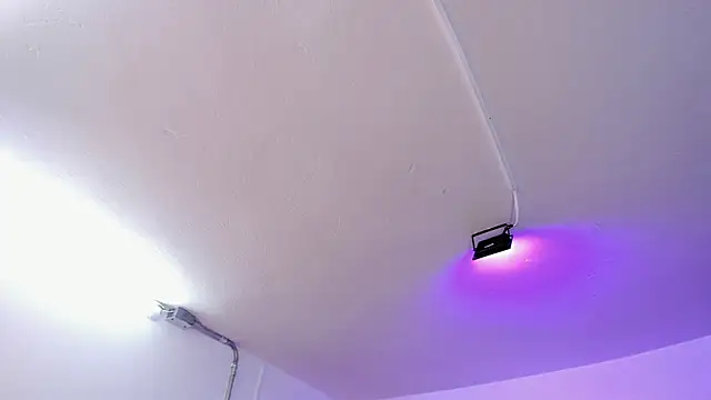 Amy Kiitty  online show from 15, 2, 2026