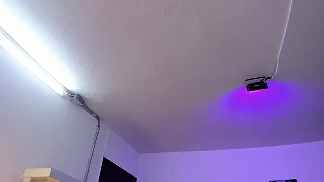 Amy Kiitty  online show from 17, 3, 2026