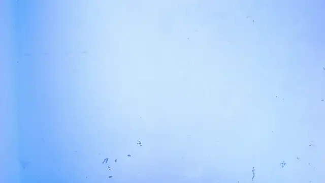 April sexycurvi online show from 18, 9, 2025