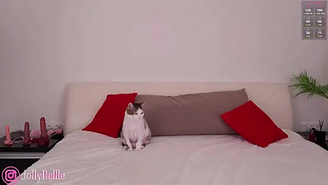 jolly bellle online show from 26, 10, 2025