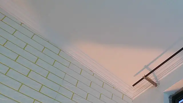 NYX1126 online show from 6, 11, 2025