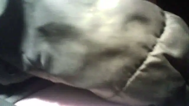 oliveirinhafotografo online show from 5, 3, 2025