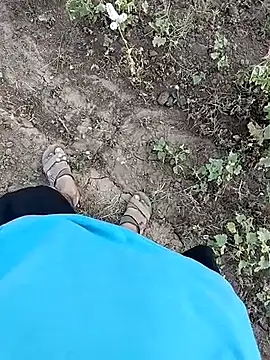 Piyush 2024 online show from 11, 4, 2026