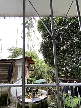 Jestebanano online show from 4, 5, 2026