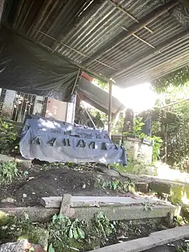 Jestebanano online show from 12, 4, 2026