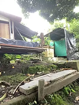 Jestebanano online show from 2, 10, 2025