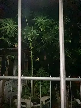 Jestebanano online show from 18, 9, 2025