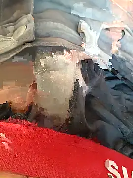 Gujrat player online show from 21, 10, 2025