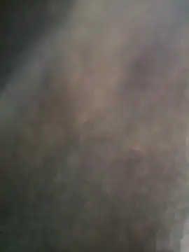 Gujrat player online show from 8, 1, 2025