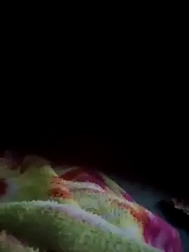 Gujrat player online show from 22, 1, 2025