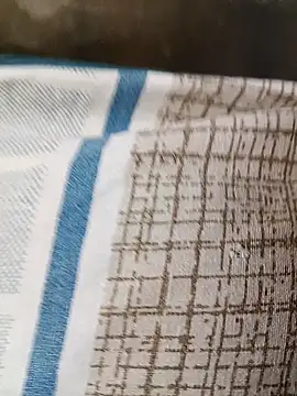 Gujrat player online show from 23, 12, 2024