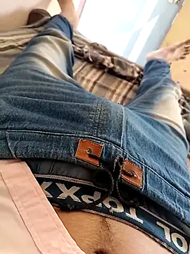 Gujrat player online show from 19, 3, 2025