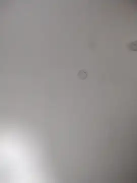 geilerschwanz64 online show from 30, 10, 2025