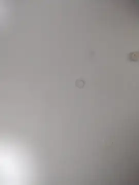 geilerschwanz64 online show from 24, 10, 2025