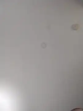 geilerschwanz64 online show from 10, 10, 2025