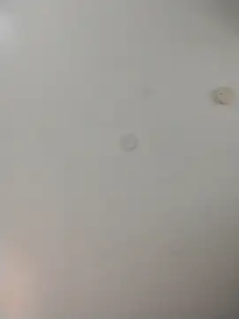 geilerschwanz64 online show from 13, 11, 2025