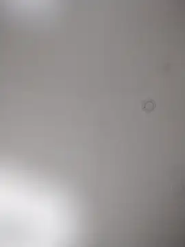 geilerschwanz64 online show from 25, 10, 2025