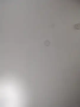 geilerschwanz64 online show from 28, 10, 2025