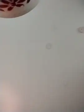 geilerschwanz64 online show from 9, 11, 2025