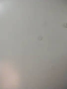 geilerschwanz64 online show from 22, 12, 2025