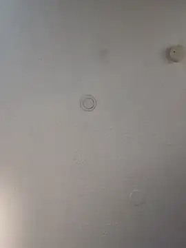 geilerschwanz64 online show from 21, 3, 2025