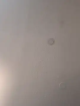 geilerschwanz64 online show from 18, 3, 2025