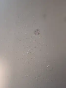 geilerschwanz64 online show from 12, 3, 2025