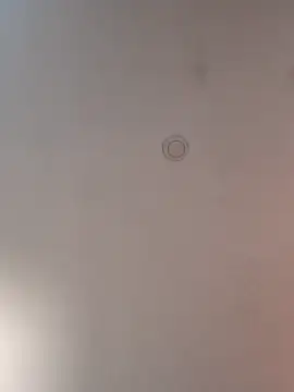 geilerschwanz64 online show from 10, 3, 2025