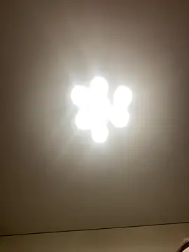 Janet Welder online show from 16, 12, 2024