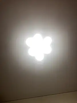 Janet Welder online show from 22, 12, 2024