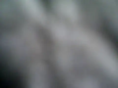 rootsf online show from 3, 11, 2025