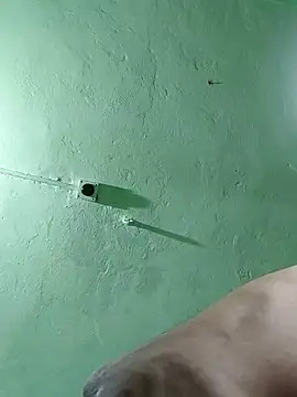 Snapshot of RADHAHO chatting on 29, 10, 2025 RADHAHO online show from 29, 10, 2025