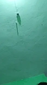 Snapshot of RADHAHO chatting on 9, 10, 2025 RADHAHO online show from 9, 10, 2025