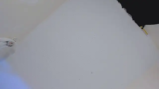 Snapshot of missycanoo chatting on 22, 10, 2025 missycanoo online show from 22, 10, 2025