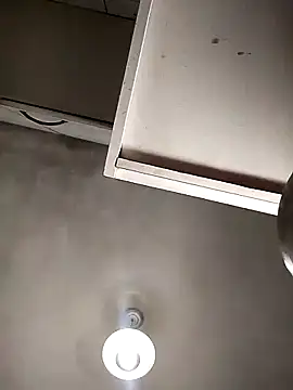 Bellatriz-horse online show from 8, 2, 2026