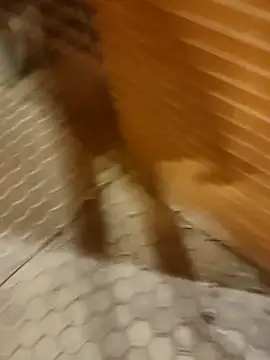 Satiro Sevilla online show from 17, 2, 2025