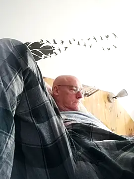 bogland33 online show from 4, 10, 2025