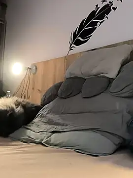 bogland33 online show from 9, 1, 2026