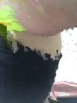 ahross online show from 26, 9, 2025