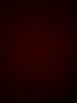 DINA-FOX online show from 30, 1, 2025