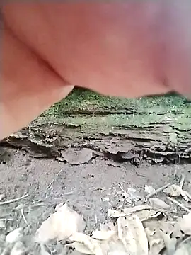 Blacklicious777 online show from 10, 11, 2025