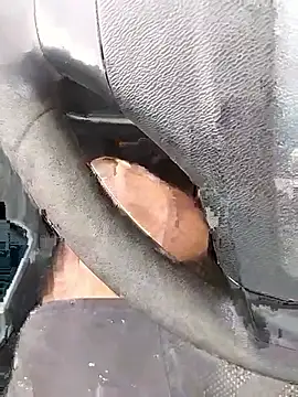 Blacklicious777 online show from 12, 1, 2026