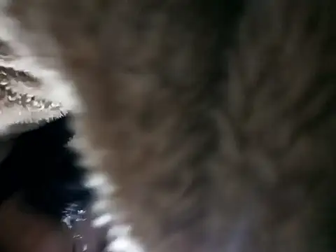 Elvishcassie  online show from 6, 1, 2026