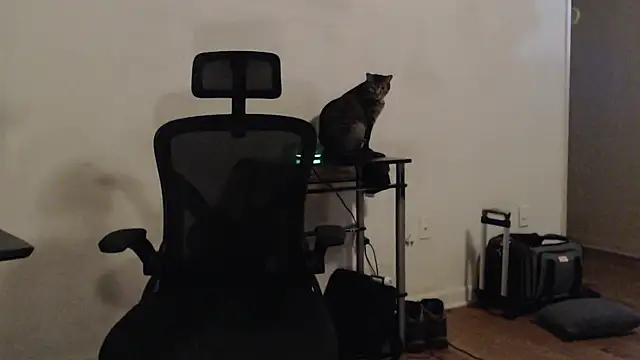 Pilot Dave 69 online show from 18, 1, 2025