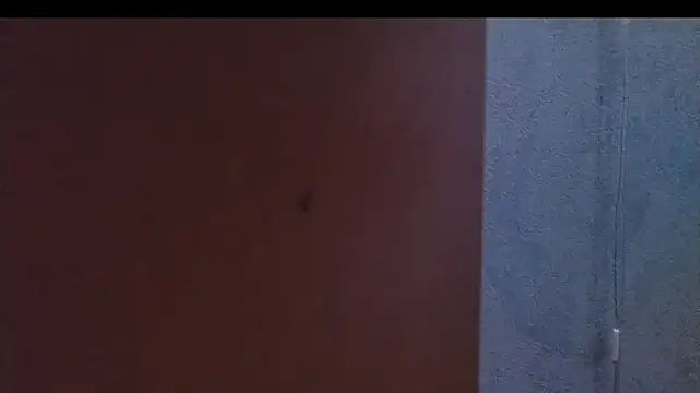 nextdoorneighbor online show from 9, 1, 2025