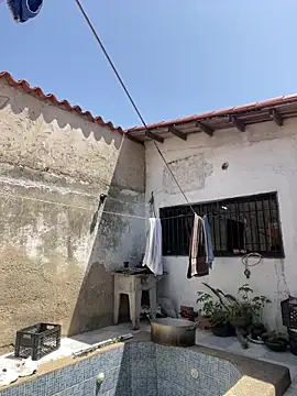 Leo bunny hot online show from 27, 2, 2025